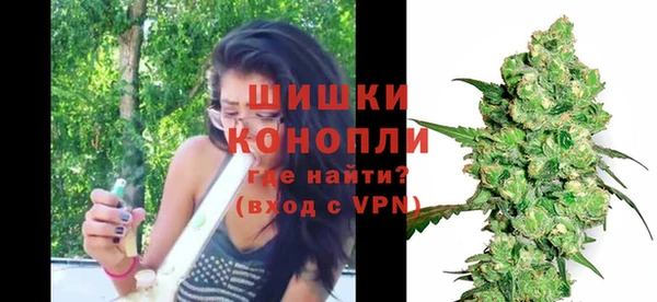 крисы Михайловск