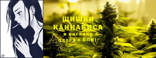 крисы Михайловск