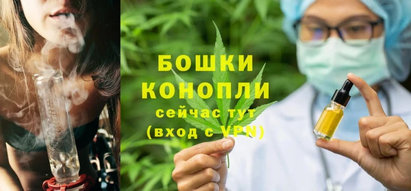 крисы Михайловск