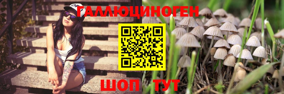 Псилоцибиновые грибы мицелий  Белая Калитва 