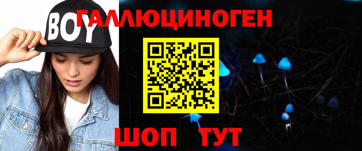 купить наркотики сайты  Галлюциногенные грибы GOLDEN TEACHER  Вход с VPN  Белая Калитва  Псилоцибиновые грибы MAGIC MUSHROOMS 